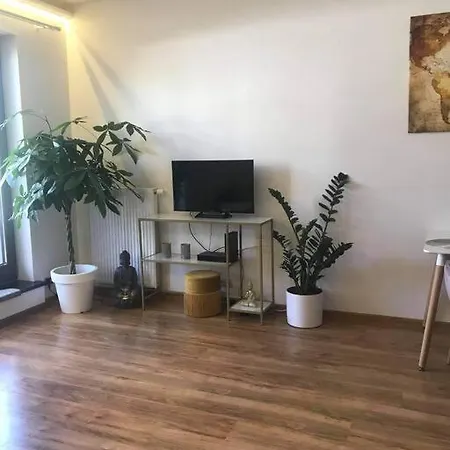 公寓 Zen Near The 奥尔什丁