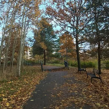 Zen Near The *
